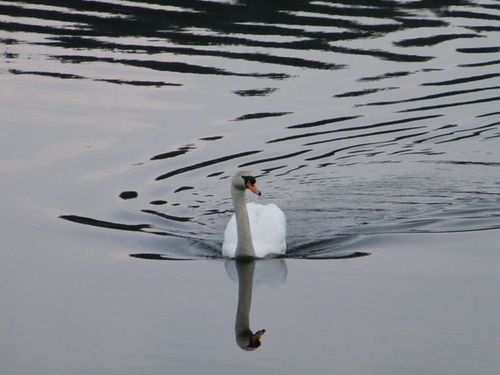 W poszukiwaniu wiosny w mojej okolicy2.jpg