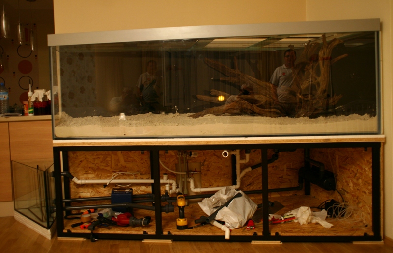 Nowe oblicze akwarium 366.jpg