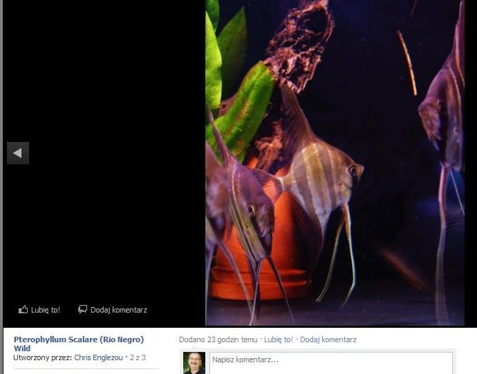 Bez tytułurio Negro.jpg