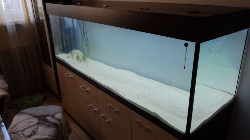 basenik 026 forum.jpg