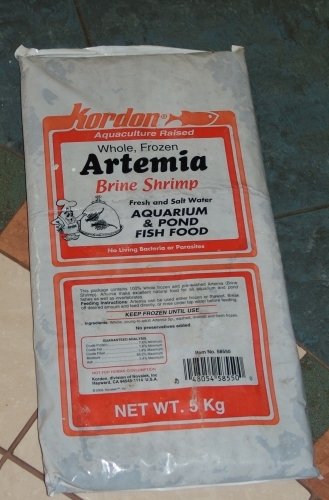 artemia.jpg