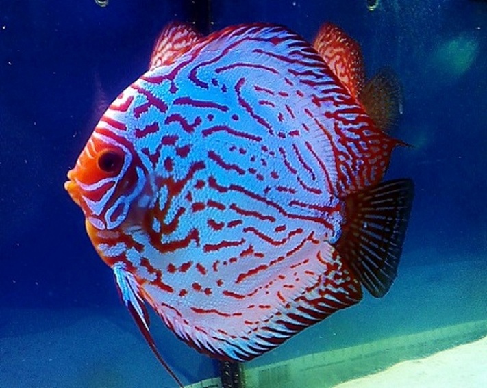 2012-12-22 14.39.41.jpg