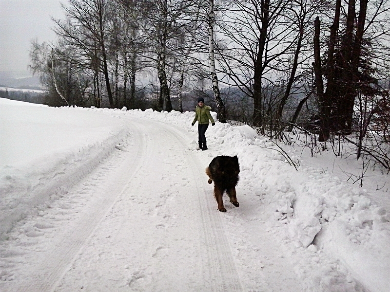 2013-04-07 14.43.09.jpg