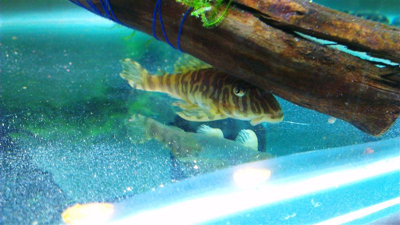 IMAG0487 (Custom).jpg