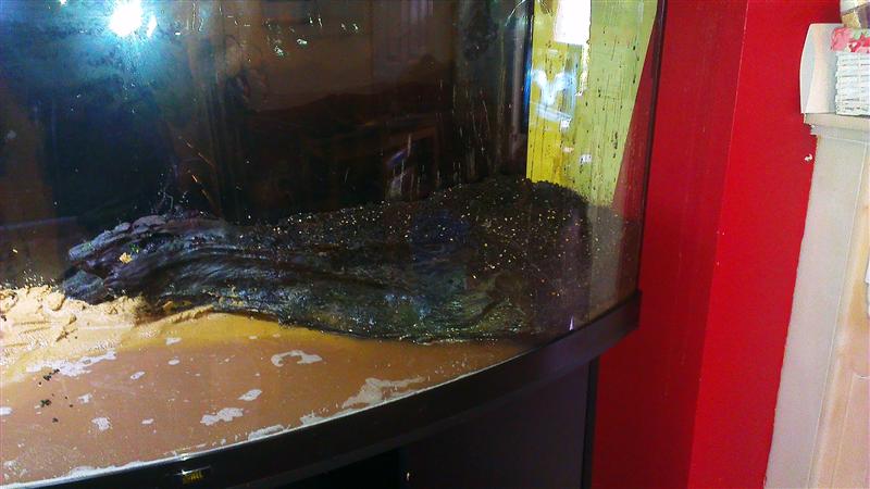 IMAG0492 (Custom).jpg