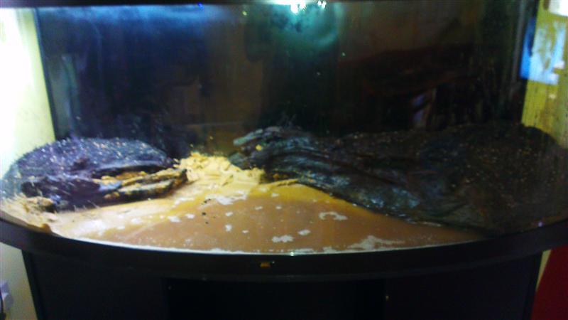 IMAG0493 (Custom).jpg