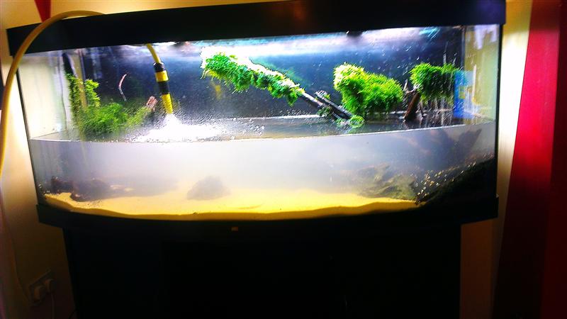 IMAG0496 (Custom).jpg