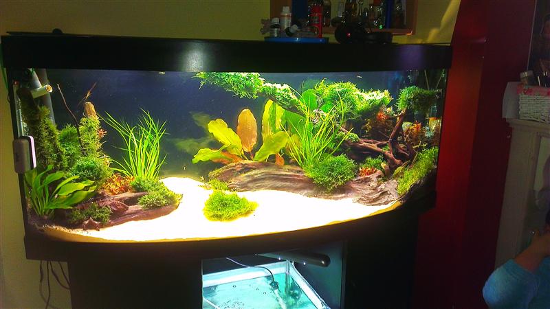 IMAG0506 (Custom).jpg