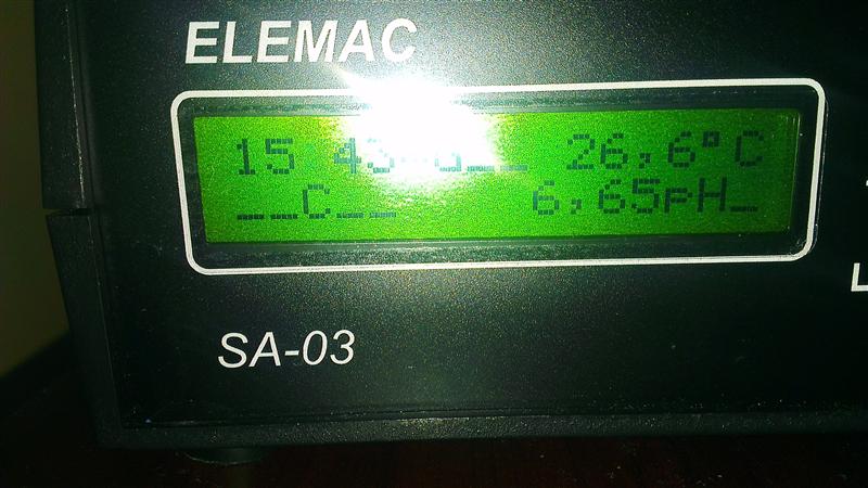 IMAG0546 (Custom).jpg