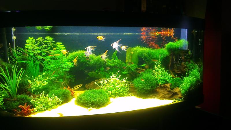 IMAG0591 (Custom).jpg