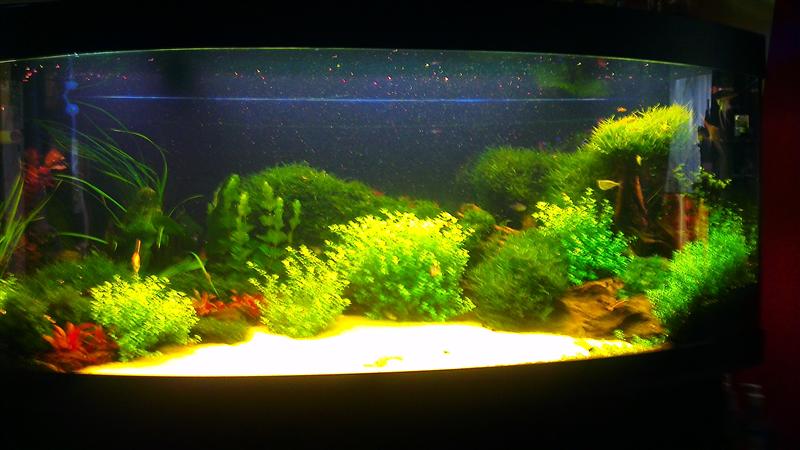 IMAG0598 (Custom).jpg