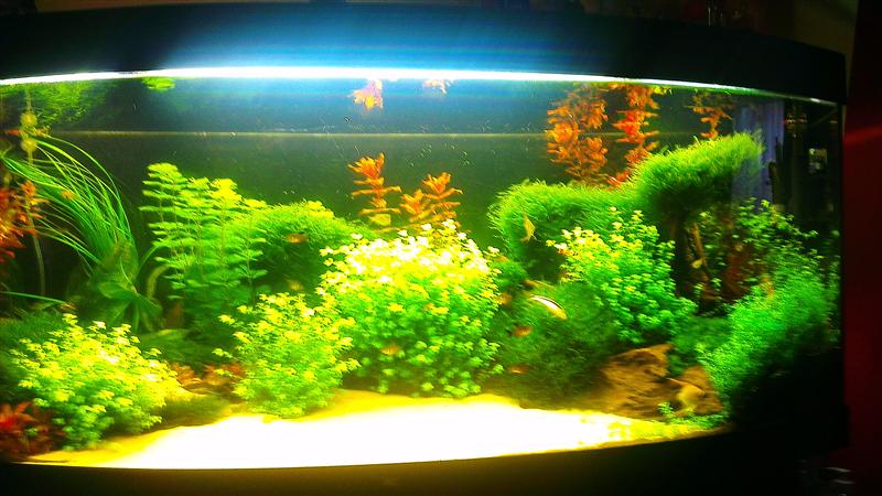 IMAG0604 (Custom).jpg