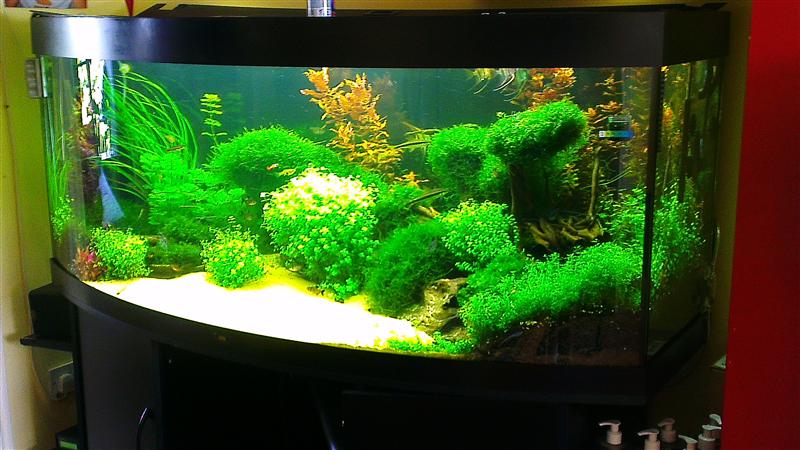 IMAG0610 (Custom).jpg