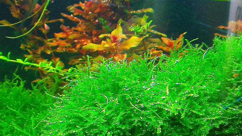 IMAG0611 (Custom).jpg