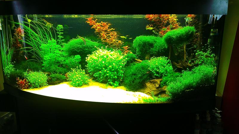 IMAG0613 (Custom).jpg