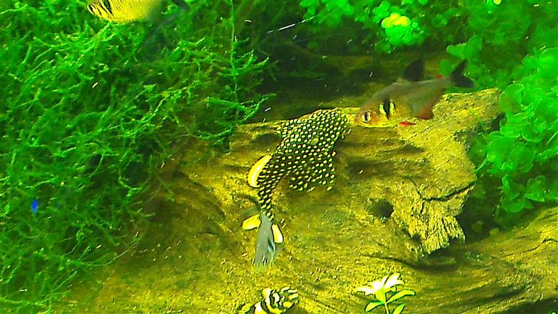 IMAG0622 (Custom).jpg