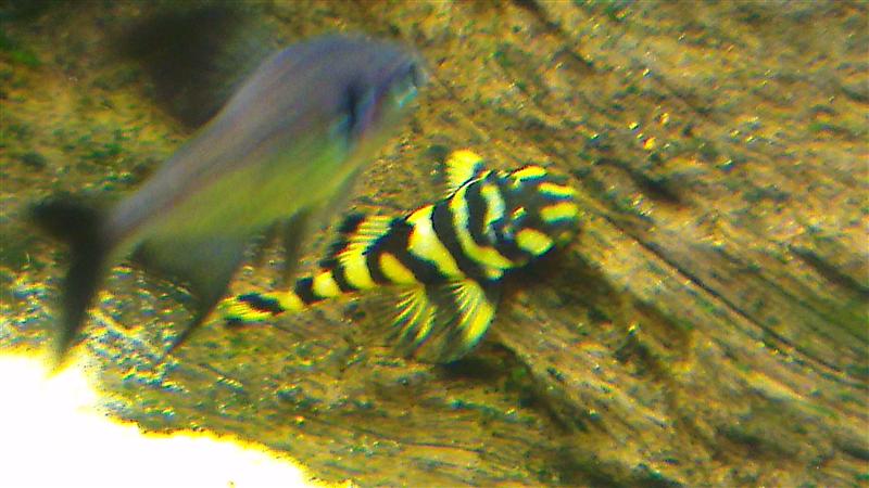 IMAG0623 (Custom).jpg