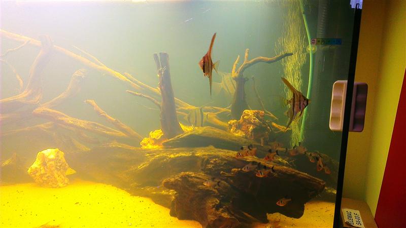 IMAG0665 (Custom).jpg