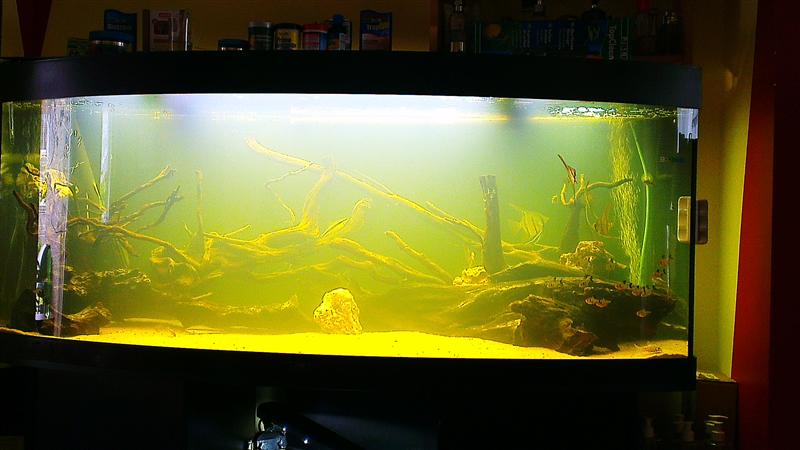 IMAG0669 (Custom).jpg