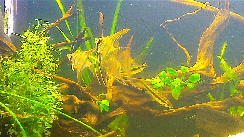 IMAG0670 (Custom).jpg