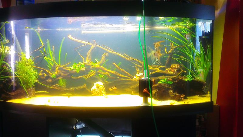 IMAG0674 (Custom).jpg