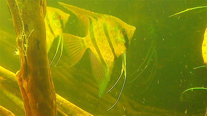 IMAG0685 (Custom).jpg