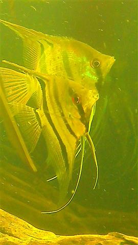 IMAG0686 (Custom).jpg