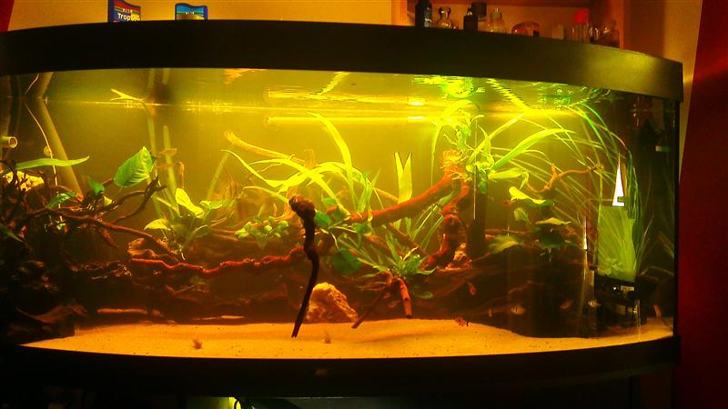 IMAG0704 (Custom).jpg