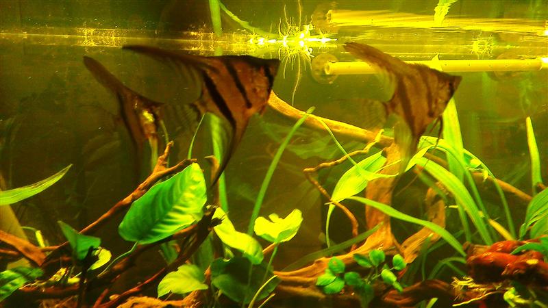 IMAG0711 (Custom).jpg