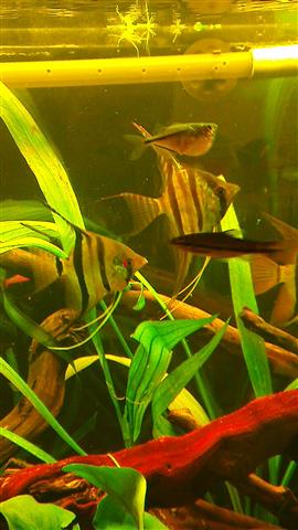 IMAG0713 (Custom).jpg