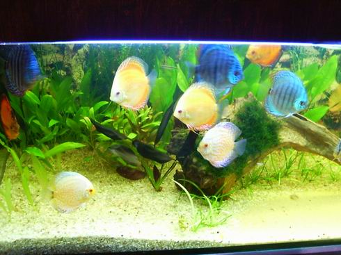 Resize of Obraz 129.jpg