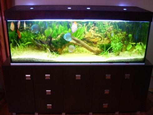 Resize of Obraz 140.jpg