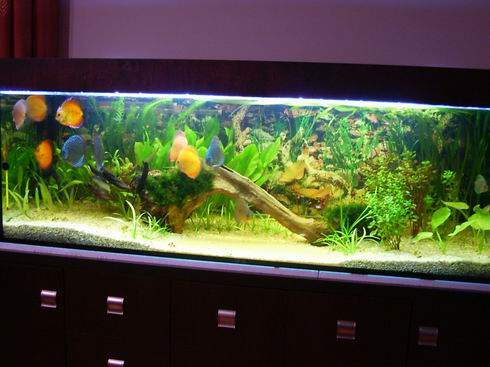 Resize of Obraz 146.jpg