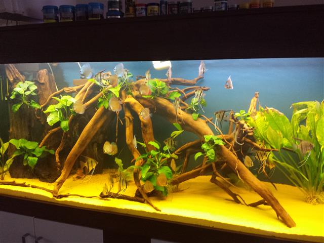 2013-12-15 13.26.12 (Custom).jpg