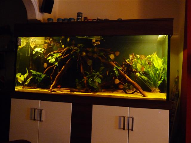 P1070124 (Custom).JPG