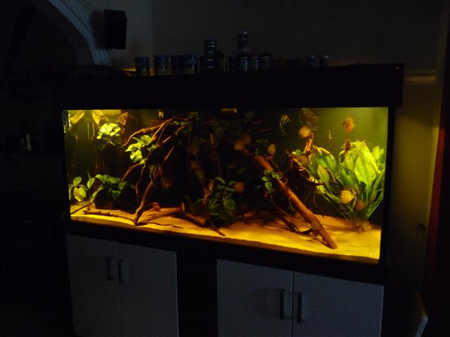 P1070106 (Custom).JPG