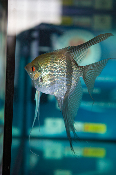 2.-Krzysztof-Gajoszek F.jpg