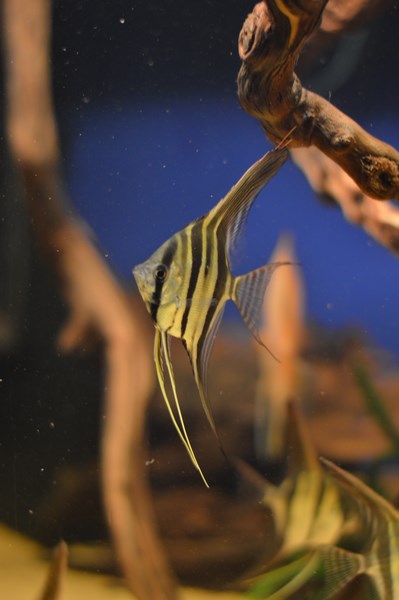 DSC_0010 (Kopiowanie).JPG