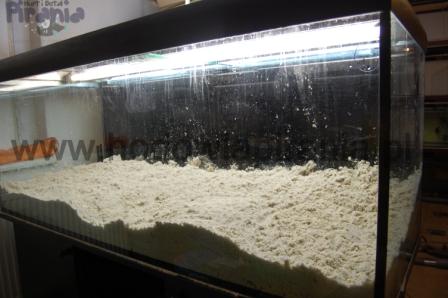 DSC_0002_wm PKMD.jpg