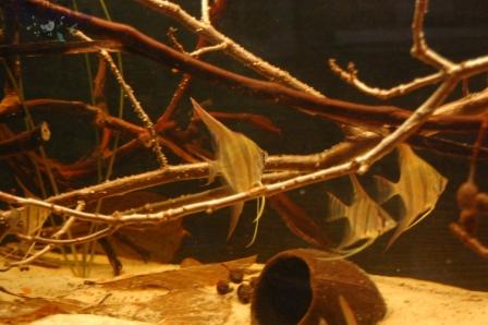 DSC_0013_wm PKMD.jpg