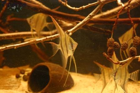 DSC_0019_wm PKMD.jpg