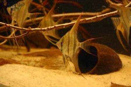 DSC_0021_wm PKMD.jpg