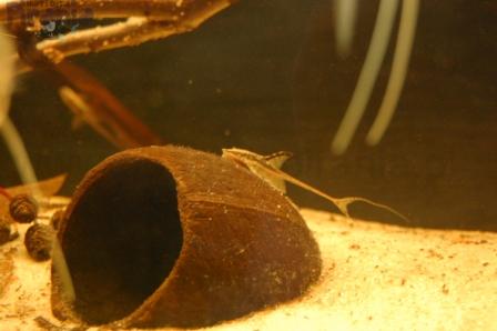 DSC_0038_wm PKMD.jpg