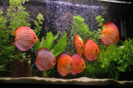 akwa 07.11.2005 012.jpg