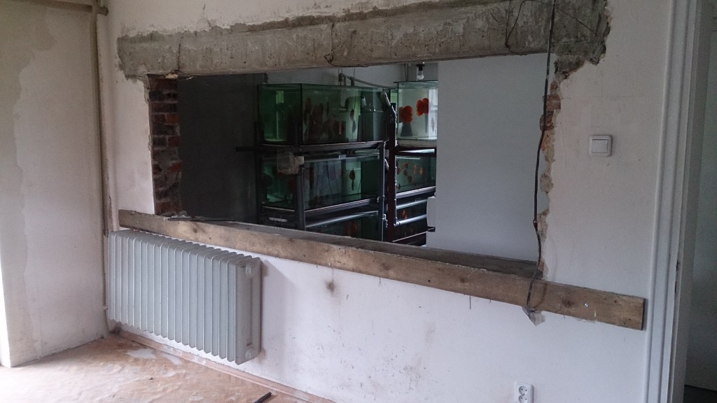 DSC_1190.JPG (1.91 MiB) Przejrzano 9850 razy DSC_1190.JPG