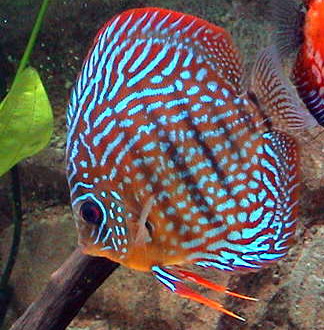 rewolta 004_exposure.jpg