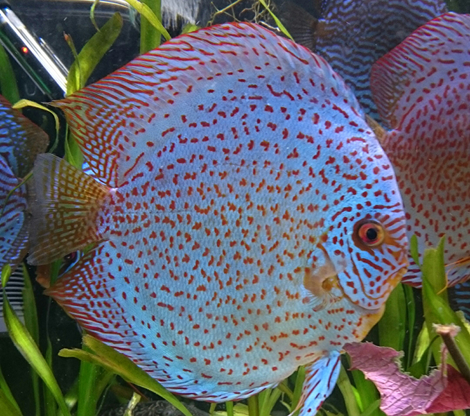 _20170903_174938 kopia.jpg