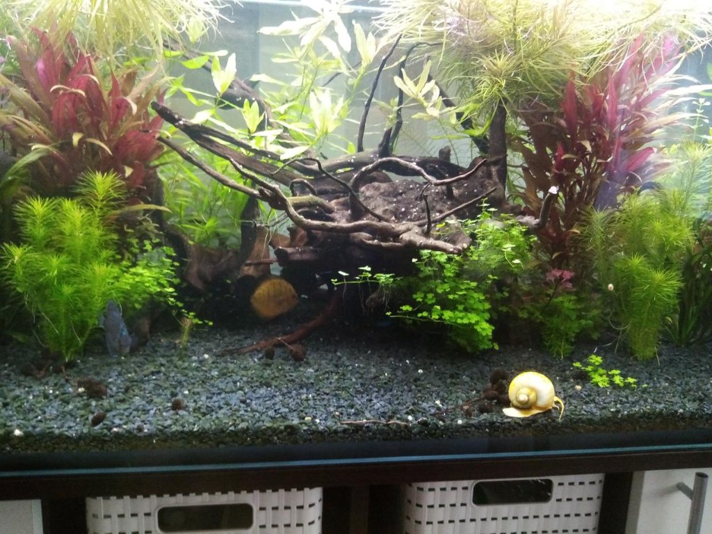 paletki 2 (Copy).jpg