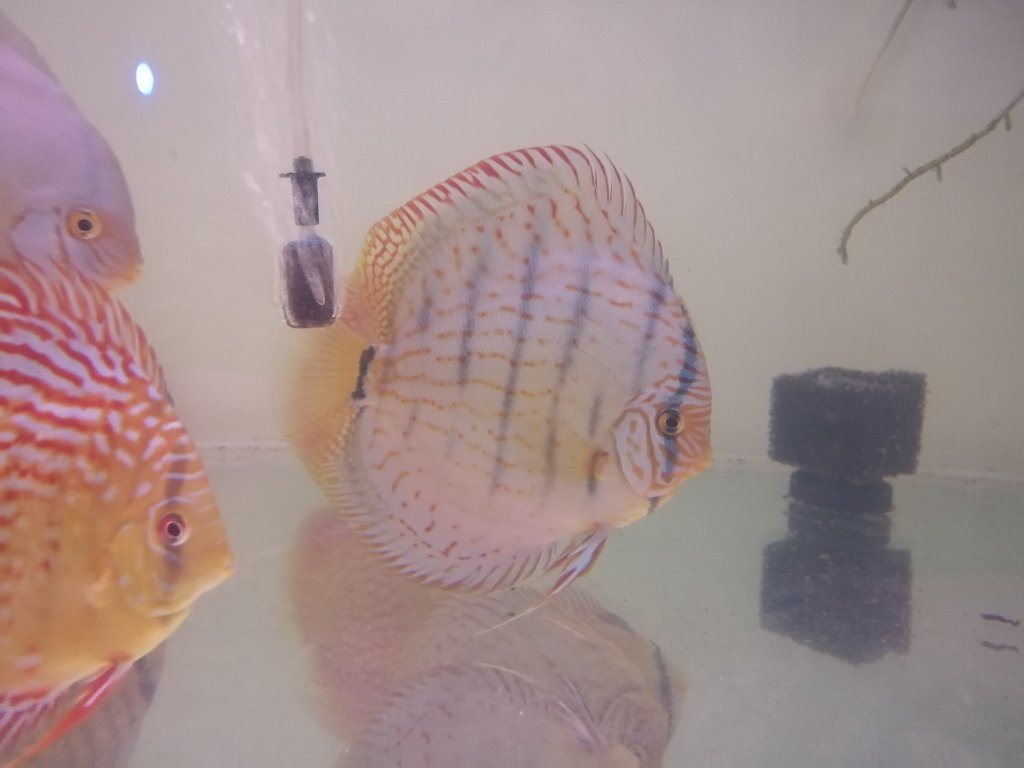 122638874_800279307427666_7833102636822434745_n (1).jpg