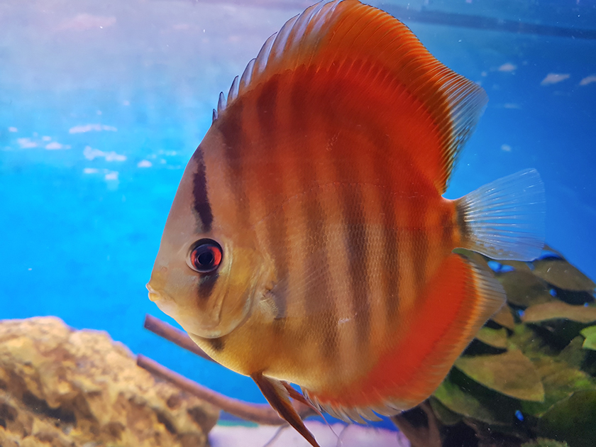 20210202_183500 Kopia.jpg